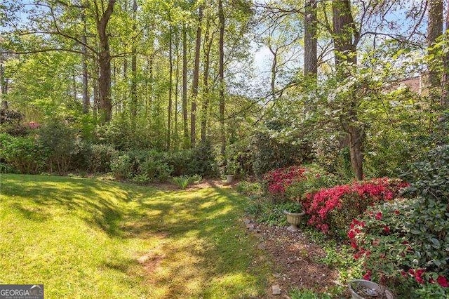 2830 Scottish Mill Way, Marietta, GA 30068 - view of grassy yard with a wooded view