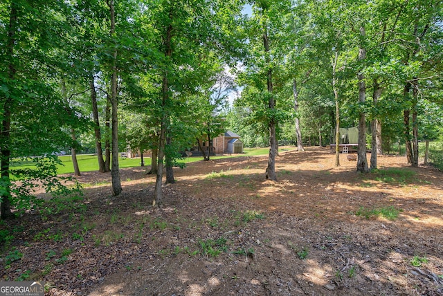 1221 Deer Trl, Bishop, GA 30621 - view of yard featuring a storage unit