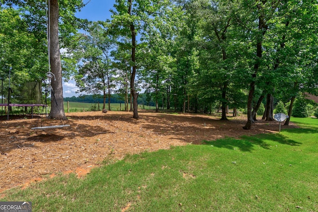 1221 Deer Trl, Bishop, GA 30621 - view of grassy yard featuring a trampoline