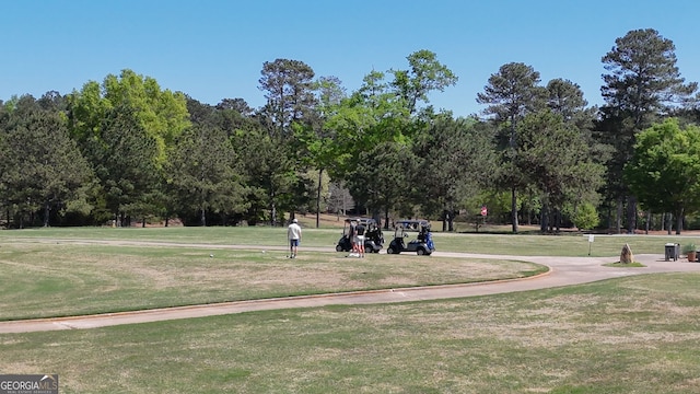 1221 Deer Trl, Bishop, GA 30621 - surrounding community with a lawn and view of scattered trees