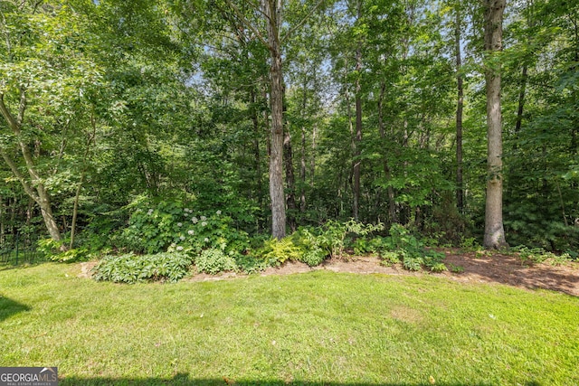456 Timber Ct, Clarkesville, GA 30523 - view of grassy yard