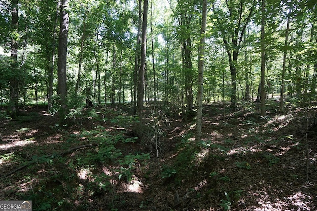 0 Springdale Dr, Palmetto, GA 30268