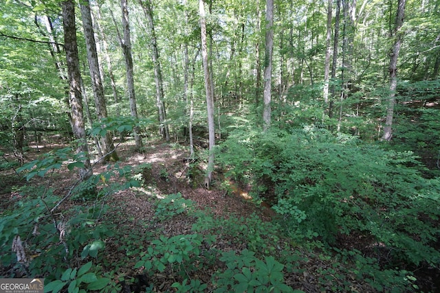 0 Springdale Dr, Palmetto, GA 30268