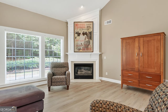 1065 Bookhout Dr, Cumming, GA 30041 - living area featuring light wood-style flooring, a fireplace, and lofted ceiling