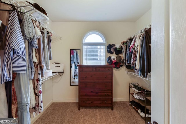 168 Gatlin Ridge Run, Dallas, GA 30157 - walk in closet featuring carpet