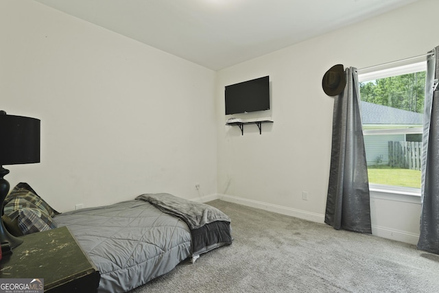 80 Rimmon Ct, Richmond Hill, GA 31324 - bedroom with carpet and baseboards
