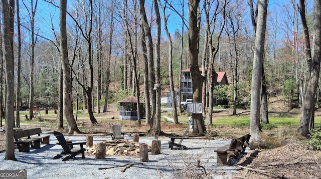132 Wild Horse Cove Cir, Cleveland, GA 30528 - view of yard