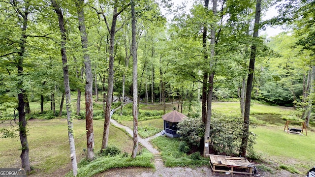 132 Wild Horse Cove Cir, Cleveland, GA 30528 - view of yard