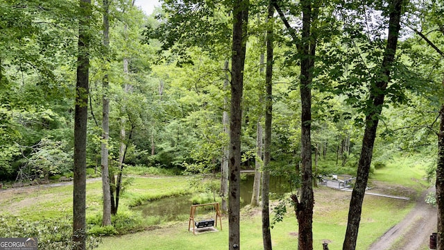 132 Wild Horse Cove Cir, Cleveland, GA 30528 - view of yard featuring a view of trees