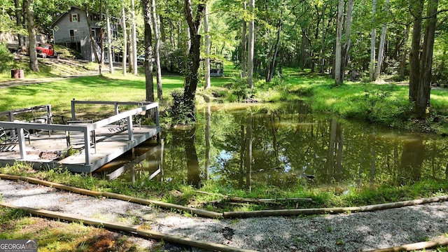 132 Wild Horse Cove Cir, Cleveland, GA 30528 - dock with a lawn