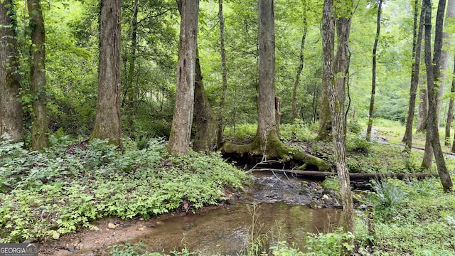132 Wild Horse Cove Cir, Cleveland, GA 30528 - view of woods