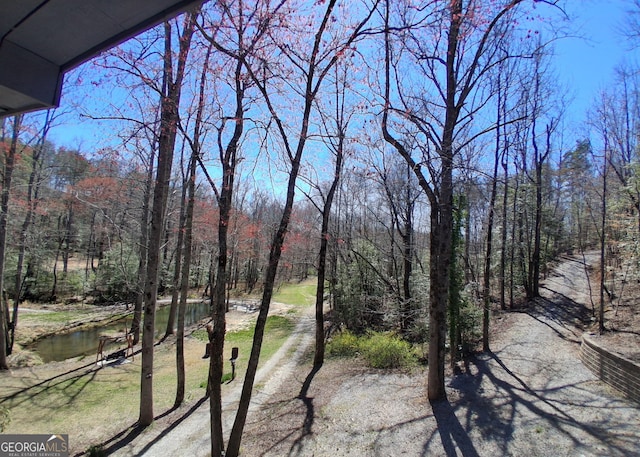 132 Wild Horse Cove Cir, Cleveland, GA 30528 - view of yard featuring a view of trees