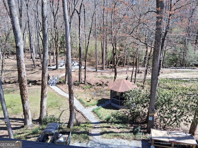 132 Wild Horse Cove Cir, Cleveland, GA 30528 - view of yard