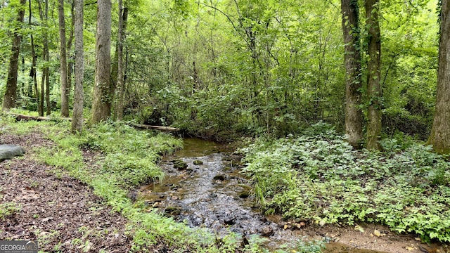 132 Wild Horse Cove Cir, Cleveland, GA 30528 - view of wooded area
