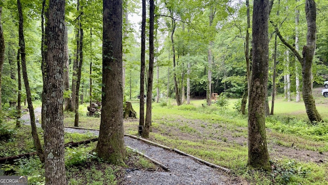132 Wild Horse Cove Cir, Cleveland, GA 30528 - view of yard featuring a wooded view