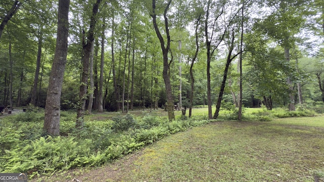 132 Wild Horse Cove Cir, Cleveland, GA 30528 - view of yard with a view of trees