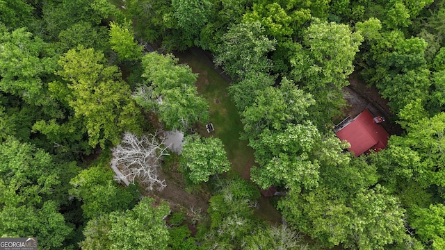 132 Wild Horse Cove Cir, Cleveland, GA 30528 - aerial view of property's location