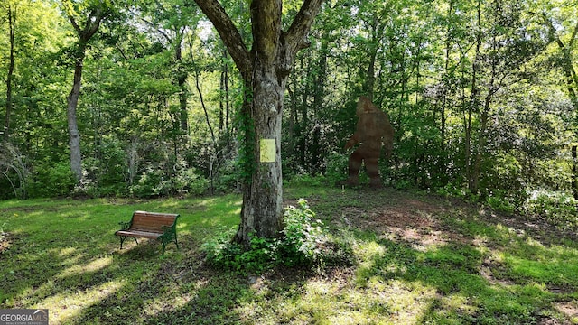 132 Wild Horse Cove Cir, Cleveland, GA 30528 - view of yard with a forest view