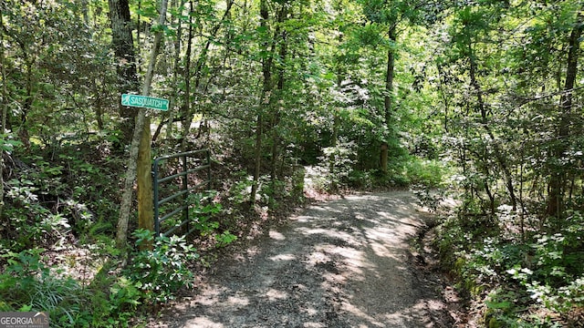 132 Wild Horse Cove Cir, Cleveland, GA 30528 - view of road featuring a forest view and a gated entry