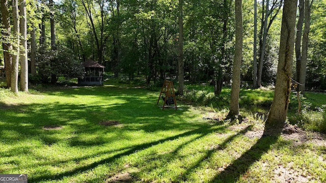 132 Wild Horse Cove Cir, Cleveland, GA 30528 - view of green lawn
