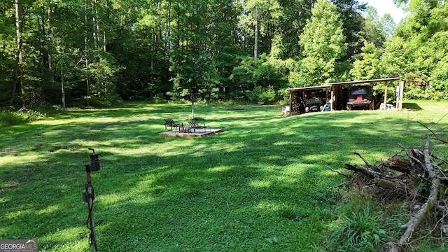 132 Wild Horse Cove Cir, Cleveland, GA 30528 - view of grassy yard