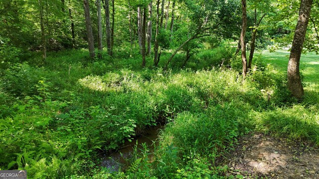 132 Wild Horse Cove Cir, Cleveland, GA 30528 - view of wooded area
