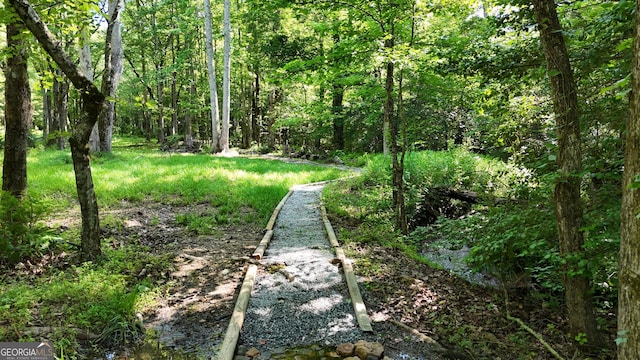 132 Wild Horse Cove Cir, Cleveland, GA 30528 - view of yard with a forest view