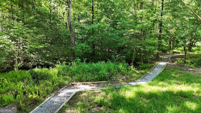 132 Wild Horse Cove Cir, Cleveland, GA 30528 - view of yard with a wooded view