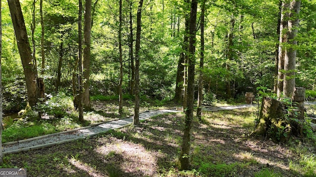 132 Wild Horse Cove Cir, Cleveland, GA 30528 - view of woods