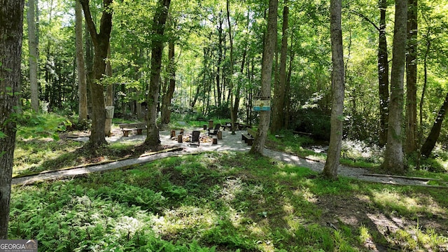 132 Wild Horse Cove Cir, Cleveland, GA 30528 - view of tree filled area