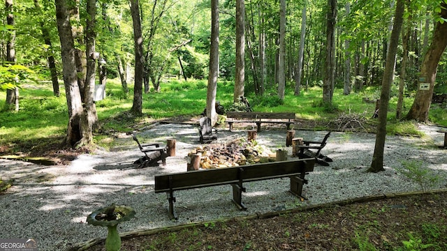 132 Wild Horse Cove Cir, Cleveland, GA 30528 - view of home's community with an outdoor fire pit