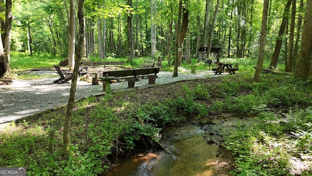 132 Wild Horse Cove Cir, Cleveland, GA 30528 - view of community featuring a view of trees