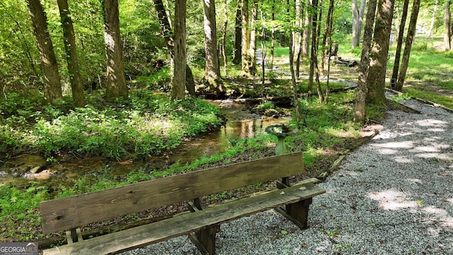132 Wild Horse Cove Cir, Cleveland, GA 30528 - view of yard