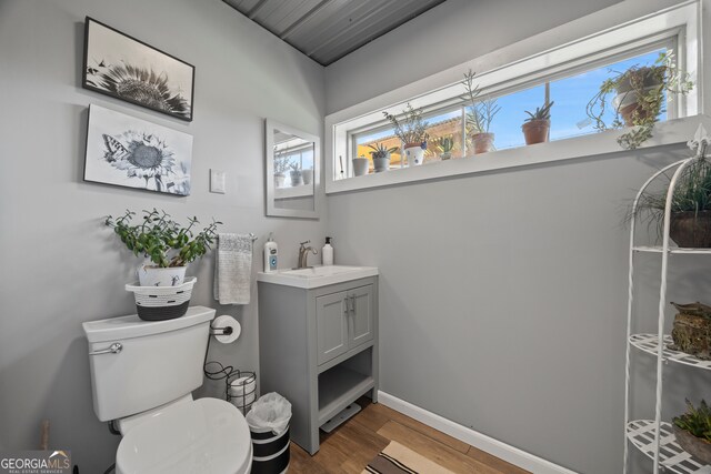 2296 Athens Rd, Royston, GA 30662 - bathroom featuring plenty of natural light, vanity, and wood finished floors