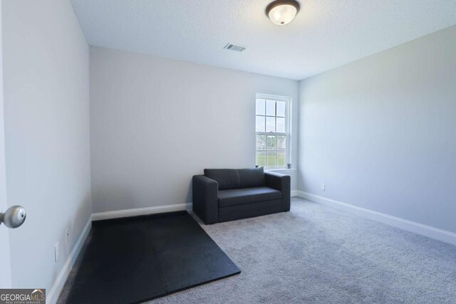 358 Brookhaven Loop NE, Ludowici, GA 31316 - sitting room with baseboards and carpet floors