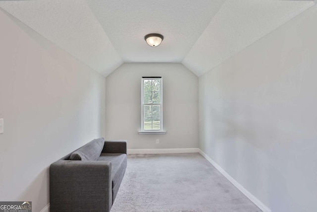 358 Brookhaven Loop NE, Ludowici, GA 31316 - additional living space with a textured ceiling, carpet floors, and vaulted ceiling