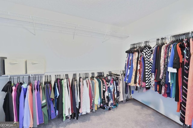 358 Brookhaven Loop NE, Ludowici, GA 31316 - walk in closet featuring carpet flooring