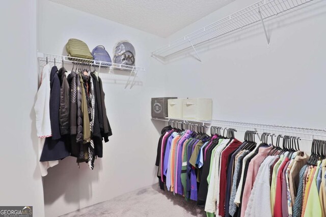 358 Brookhaven Loop NE, Ludowici, GA 31316 - spacious closet with carpet