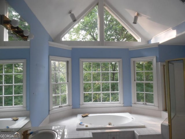 1205 Pebble Bend Dr, Grayson, GA 30017 - full bath with a tub with jets, a shower with shower door, and high vaulted ceiling