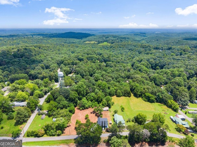 130 E Railroad Ave, Alto, GA 30510 - bird's eye view of a forest