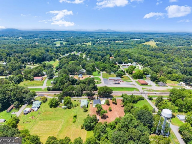 130 E Railroad Ave, Alto, GA 30510 - aerial view of a heavily wooded area