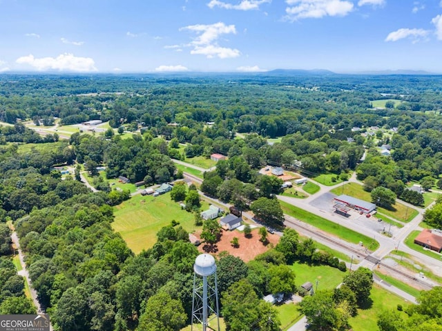 130 E Railroad Ave, Alto, GA 30510 - bird's eye view of a forest