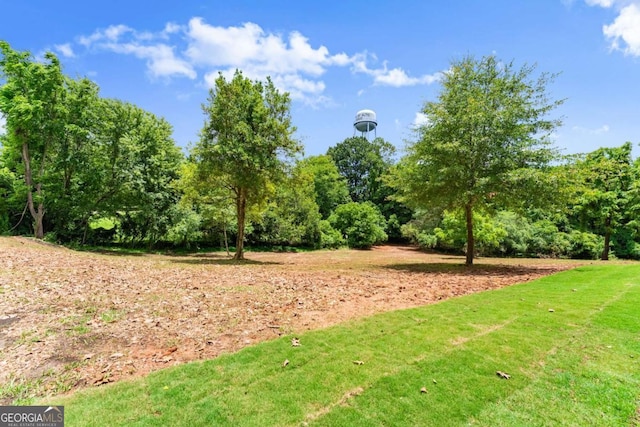 130 E Railroad Ave, Alto, GA 30510 - view of yard
