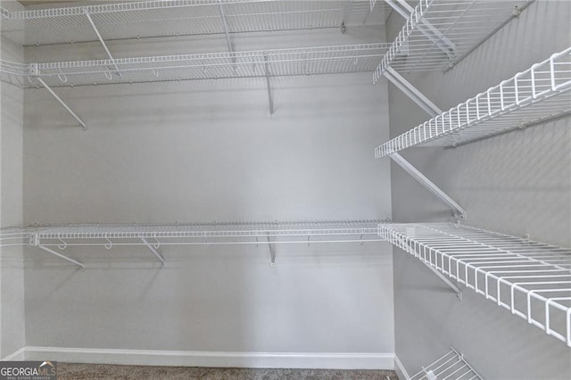 2324 Blackberry Ct, Snellville, GA 30078 - view of spacious closet