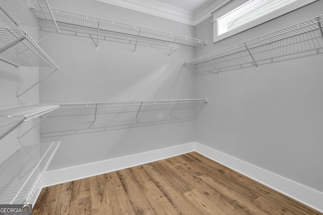 153 Alaina Rd, Holly Springs, GA 30115 - walk in closet with wood finished floors