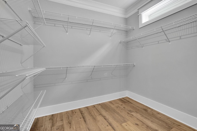 153 Alaina Rd, Holly Springs, GA 30115 - walk in closet featuring wood finished floors