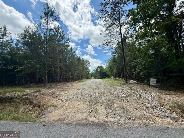TRACT1 Kelly Rd, Cedartown, GA 30125 - view of road with a view of trees