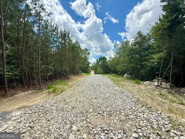 TRACT1 Kelly Rd, Cedartown, GA 30125 - view of road with a view of trees