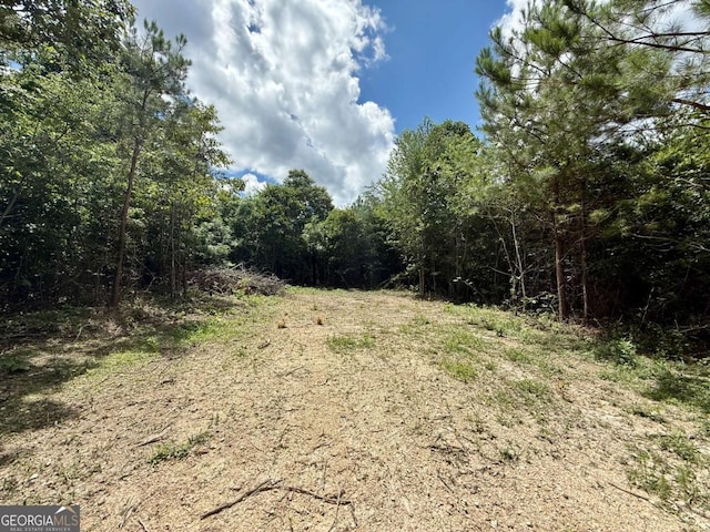 TRACT1 Kelly Rd, Cedartown, GA 30125 - view of woods