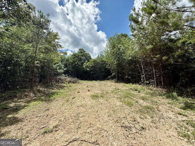 TRACT1 Kelly Rd, Cedartown, GA 30125 - view of woods